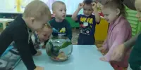 Рыбка в гостях у малышей